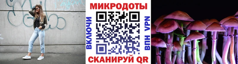 Галлюциногенные грибы Psilocybine cubensis Сортавала